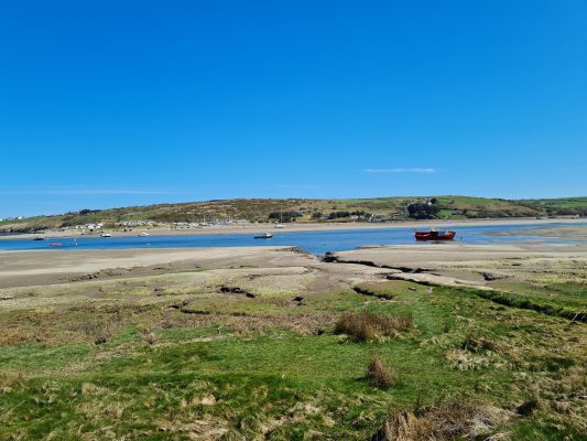 Cardigan Estuary, St Dogmaels, Pembrokeshire, West Wales
