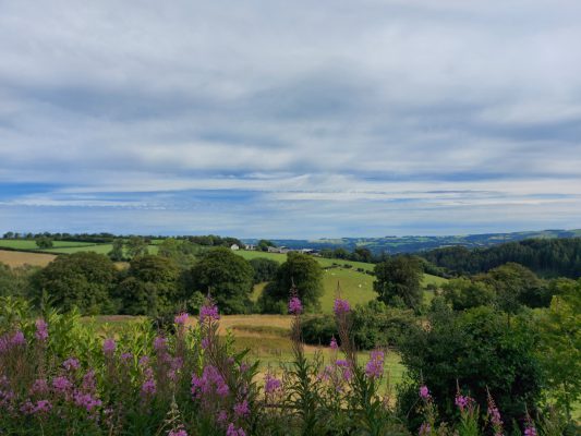 Coedybryn, Ceredigion, West Wales