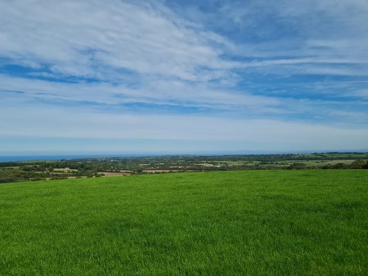 Views from Plwmp