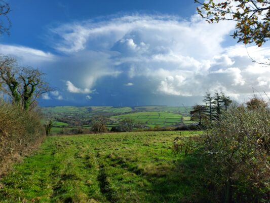 Field in New Inn, Carmarthenshire
