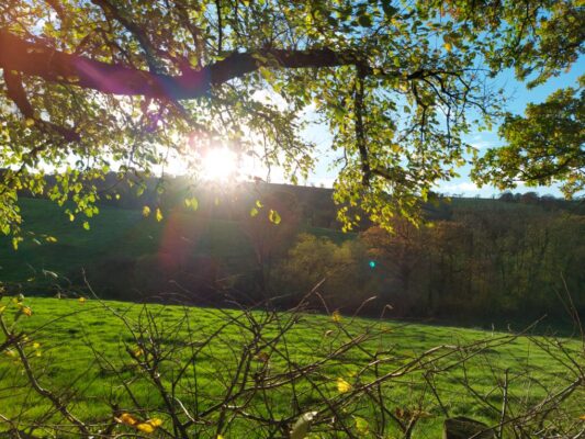 Views from fields in Waungilwen, Carmarthenshire