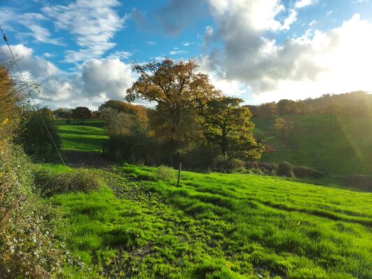 Views from fields in Waungilwen, Carmarthenshire