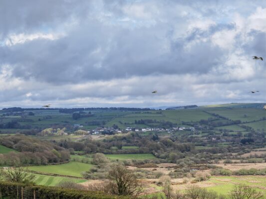 Views to Talgarreg, Ceredigion