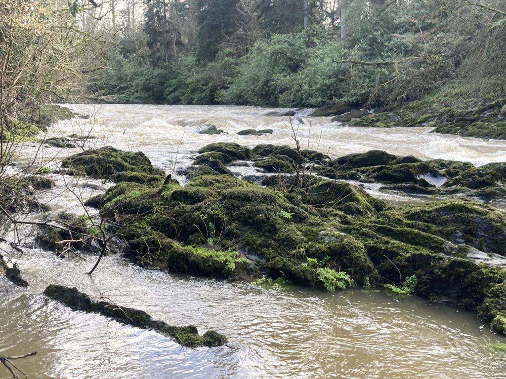 River Teifi, Henllan, Carmarthenshire