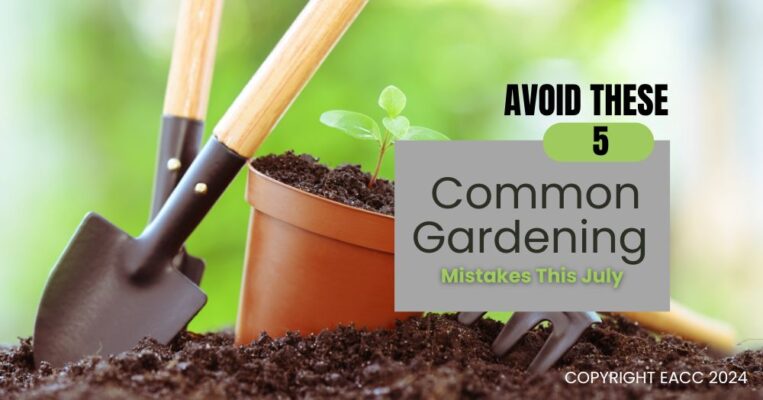 Avoid These Five Common Gardening Mistakes This July