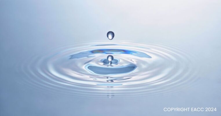 The Impact of Local Volunteering in your Area, Make a Difference Today