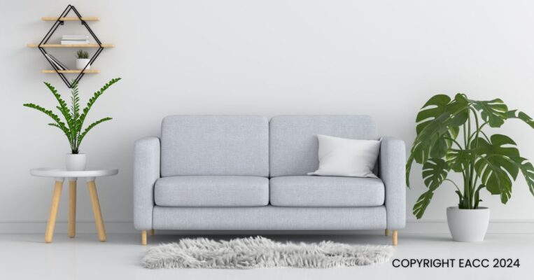 270924 Create a Home You Love with These Three Tips