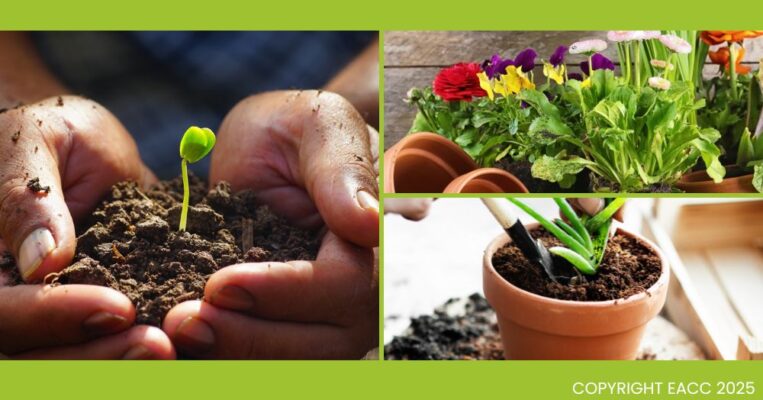 070325 Three Planting Ideas for Your Garden