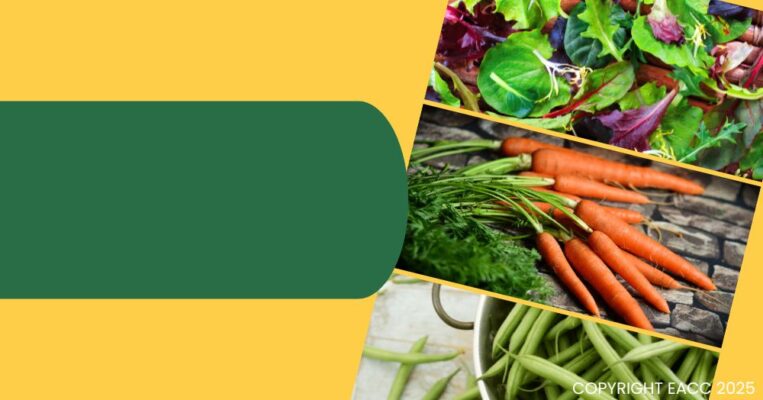 230525 Three Tasty Veggies You Can Grow Anywhere This Summer