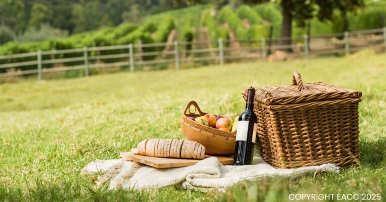 040725 Planning a Picnic These Three Ideas Will Guarantee It’s a Hit
