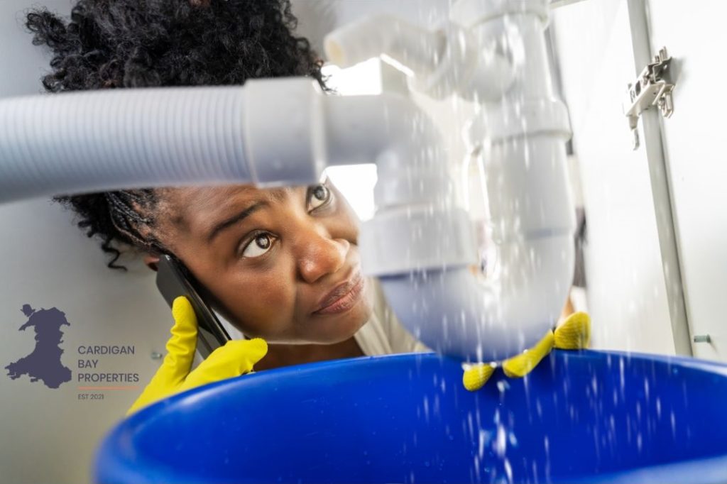 Winter Property Checklist: Protecting Homes and Pipes in West Wales